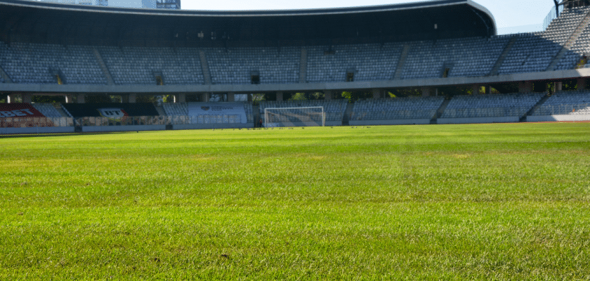 Gazon Cluj Arena