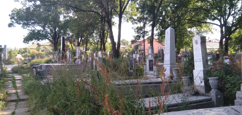 Ștefan Farell intamplare neplacuta la cimitir