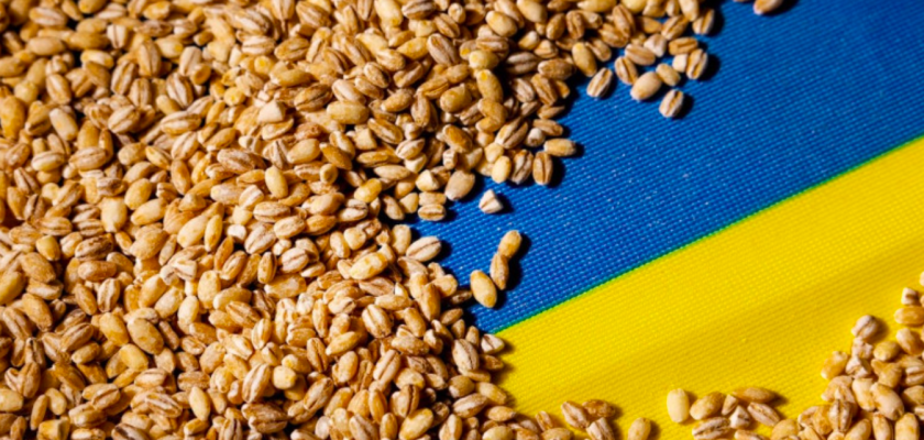 Cereale Ucraina