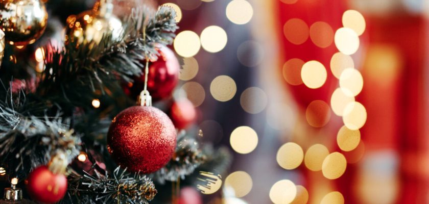 PLANTA pe care e bine să o ai în casă în decembrie. Atrage sănătatea, banii și iubirea