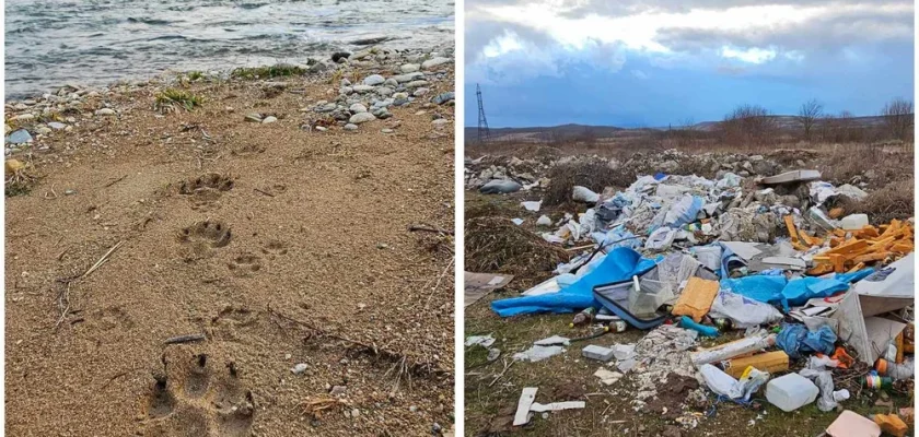 Râu legendar din România, extrem de poluat. Localnicii au aruncat tone de gunoaie pe maluri VIDEO