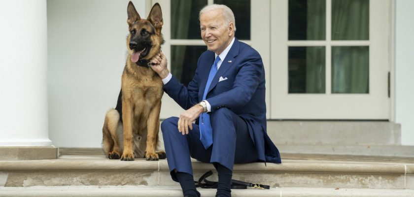 Commander, câinele lui Joe Biden, i-a mușcat de cel puțin 24 de ori pe agenții Serviciului Secret