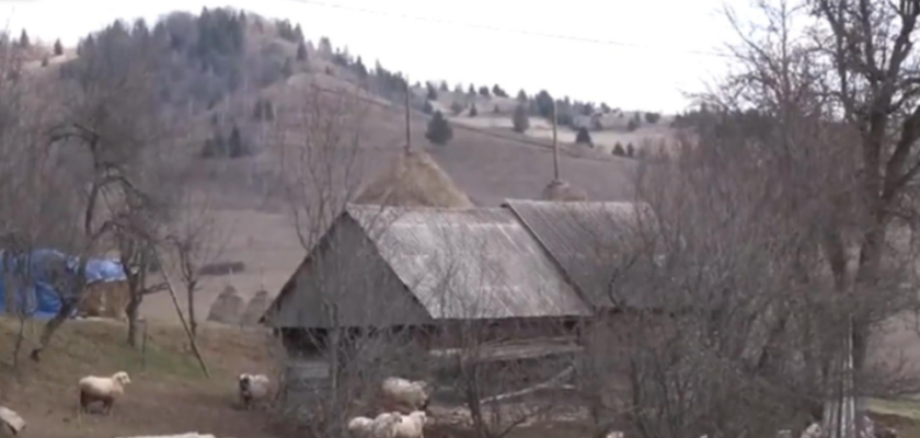 Satul din România unde mai trăiesc doar ȘAPTE oameni. Localnicii sunt disperați: „Ne mănâncă sălbăticiunile în scurtă vreme”