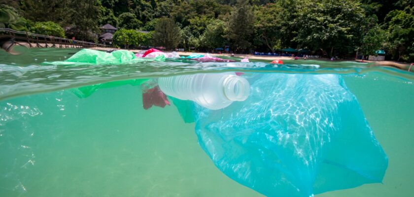 Poluarea cu plastic: ONG-urile denunță prezența crescută a lobbyiștilor petroliști la negocieri