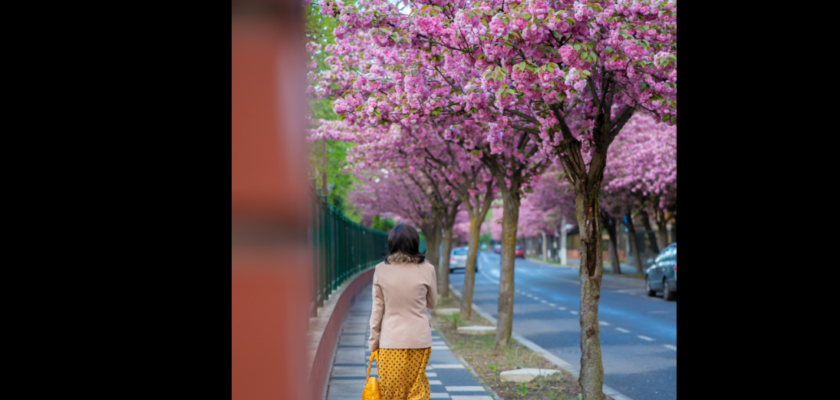 Locul din România unde se află CEA MAI FRUMOASĂ stradă din Europa / Puțini știu despre ea